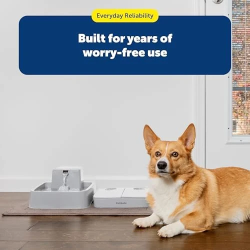 Analog 2 Meal Programmable Pet Feeder — Automatic Pet Feeder, PetSafe