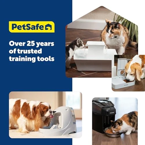 Analog 2 Meal Programmable Pet Feeder — Automatic Pet Feeder, PetSafe