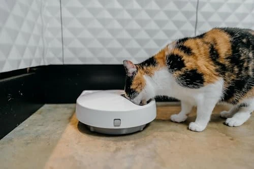Automatic 5 Bowl Digital Timer-Controlled Pet Feeder — Automatic Pet Feeder, Cat Mate
