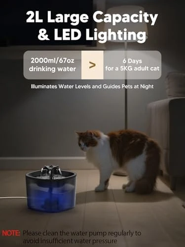Automatic Cat Feeder and Water Fountain Set — Automatic Pet Feeder, CORGOTE