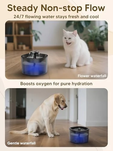 Automatic Cat Feeder and Water Fountain Set — Automatic Pet Feeder, CORGOTE