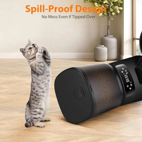 Automatic Cat Feeder for Two Cats — Automatic Pet Feeder, KATALICLAB