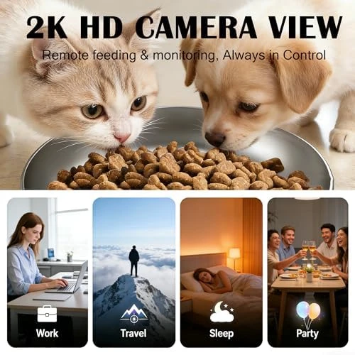 Automatic Cat Feeder with 2K Camera — Automatic Pet Feeder, Stralith