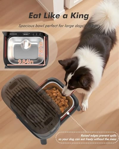 Automatic Dog Feeder for Large Breed — Automatic Pet Feeder, Nityers