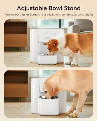 Automatic Dog Feeder for Large Breed — Automatic Pet Feeder, Dokoo