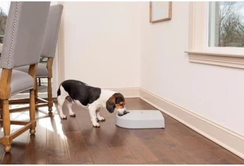 Automatic Dog Feeder — Automatic Pet Feeder, PetSafe