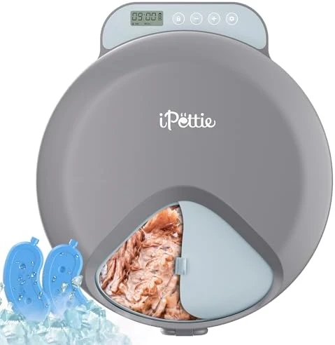 Automatic Wet Food Feeder with Four Meals Design — Automatic Pet Feeder, iPettie