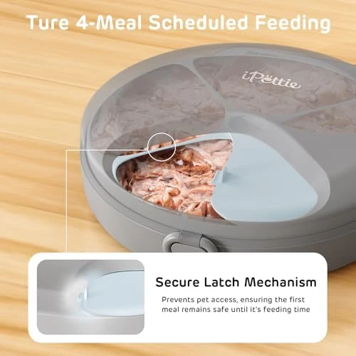 Automatic Wet Food Feeder with Four Meals Design — Automatic Pet Feeder, iPettie