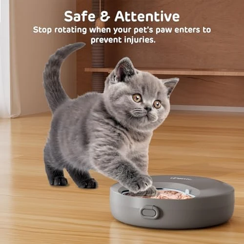 Automatic Wet Food Feeder with Four Meals Design — Automatic Pet Feeder, iPettie
