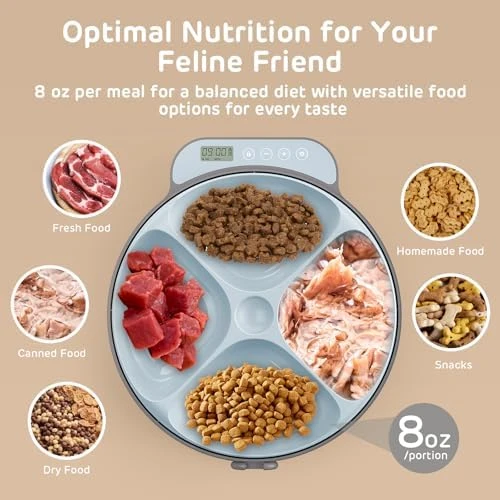 Automatic Wet Food Feeder with Four Meals Design — Automatic Pet Feeder, iPettie