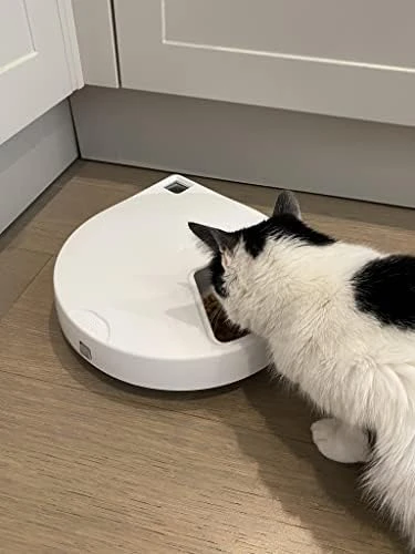 C500 5 Bowl Digital Timer-Controlled Automatic Pet Feeder - 5-Meal Feeder with Stainless Steel Bowl and Ice Packs — Automatic Pet Feeder, Closer Pets