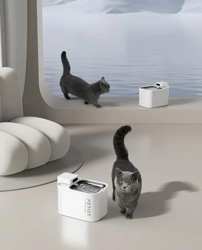 Cordless Cat Water Fountain with Motion Sensor — Cat Water Fountain, PETKIT