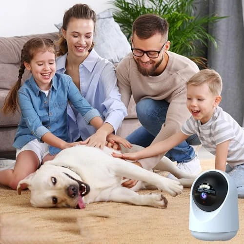 Indoor Pet Camera with Laser Toy — Automatic Cat Toy, VILLA ART