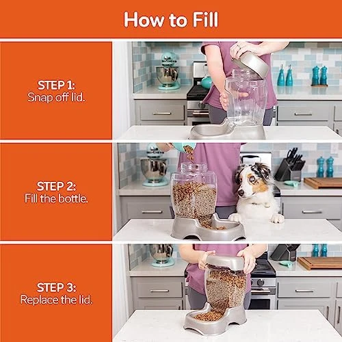 Pet Cafe Feeder for Dogs and Cats — Automatic Pet Feeder, Petmate