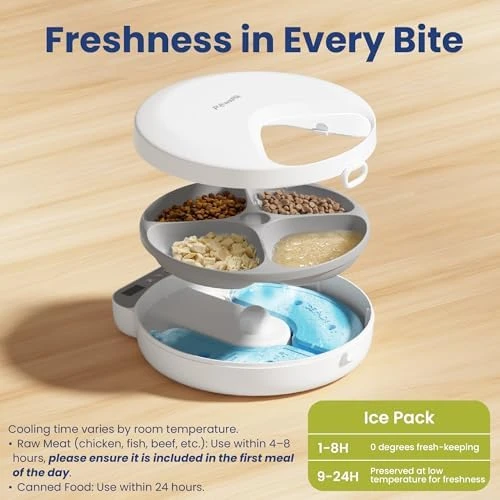 Smart 4-Meal Automatic Pet Feeder — Automatic Pet Feeder, PAWSPIK