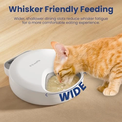 Smart 4-Meal Automatic Pet Feeder — Automatic Pet Feeder, PAWSPIK