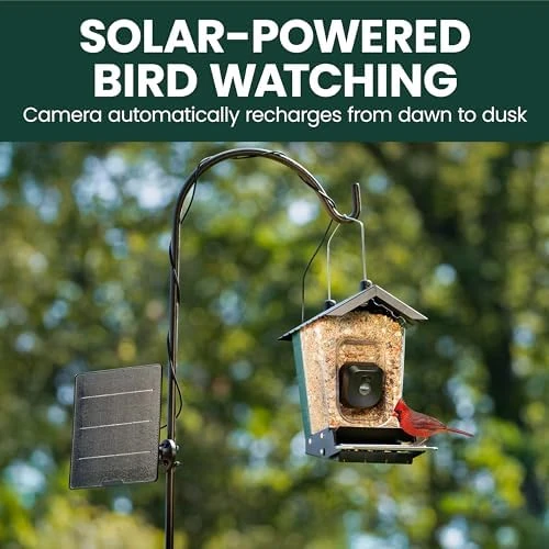 Solar Powered Smart Bird Feeder with Camera — Smart Bird Feeder, Perky-Pet