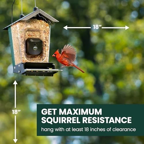 Solar Powered Smart Bird Feeder with Camera — Smart Bird Feeder, Perky-Pet