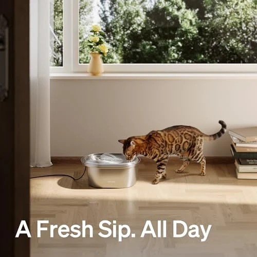 Stainless Steel Cat Water Fountain — Cat Water Fountain, PETLIBRO