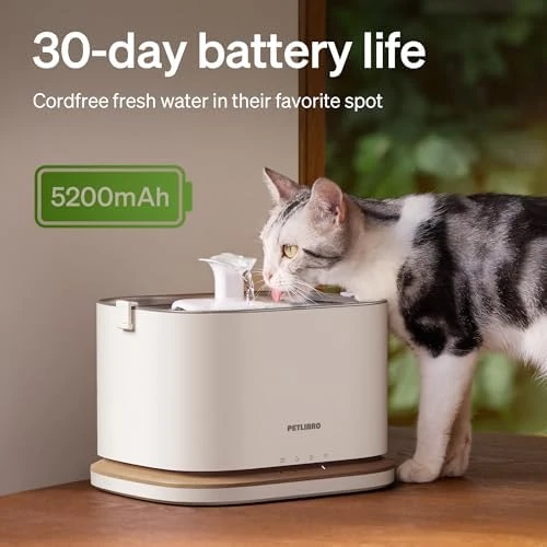 Upgrade Wireless Cat Water Fountain with App Monitoring — Cat Water Fountain, PETLIBRO