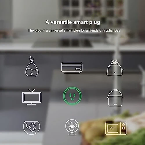 Smart Plug with Voice Control — Smart Plug, Orielis