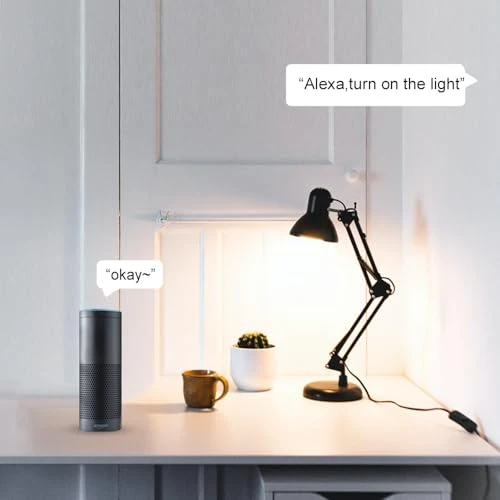 Smart Plug with Voice Control — Smart Plug, Orielis