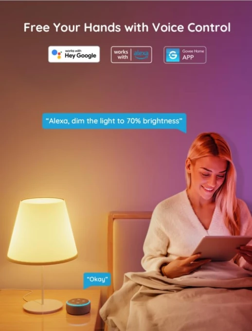 A19 LED Light Bulb — Smart Light Bulb, Govee