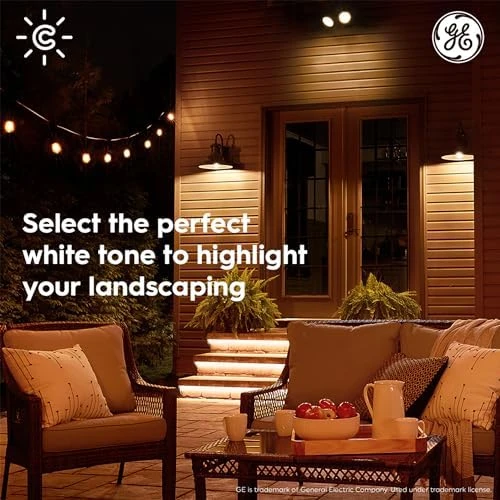 Smart LED PAR38 Flood Light Bulb, Color Changing, 90W Equivalent, WiFi, Pack of 2 — Smart Light Bulb, GE