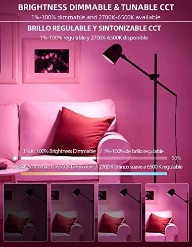 Smart Light Bulbs, 2700K-6500K Dimmable & Color Changing A19 LED Bulb — Smart Light Bulb, WOWLUMEN
