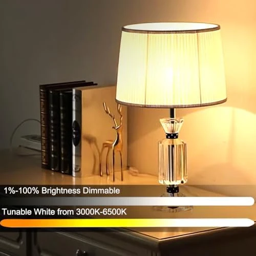 Smart LED Light Bulb with Remote Control — Smart Light Bulb, GRV