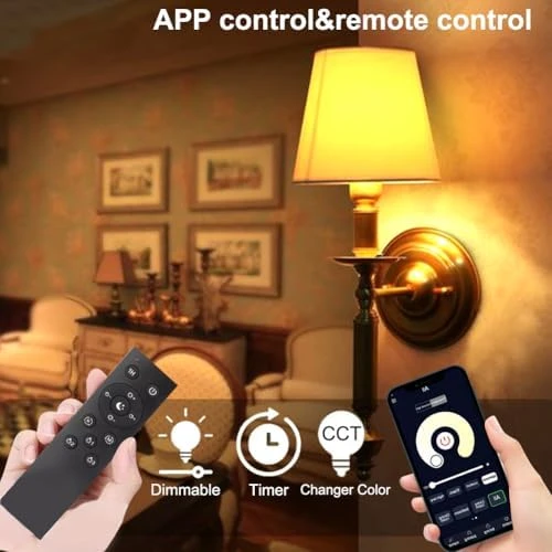 Smart LED Light Bulb with Remote Control — Smart Light Bulb, GRV