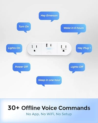 SmartVoice 4-in-1 Wall Plug — Smart Plug, Emerson