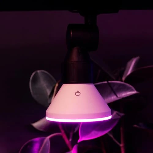 Smart Flood Light Bulb PAR38 — Smart Light Bulb, LIFX