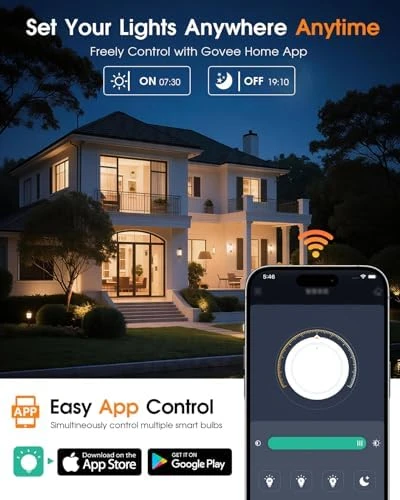 Smart LED Light Bulb — Smart Light Bulb, DRAWNCAT