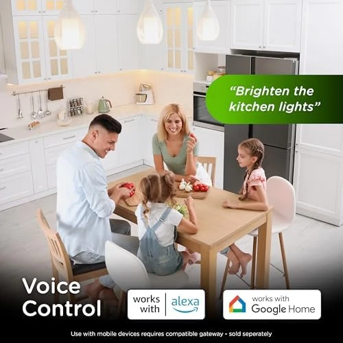Smart Toggle Dimmer — Smart Switch, Enbrighten