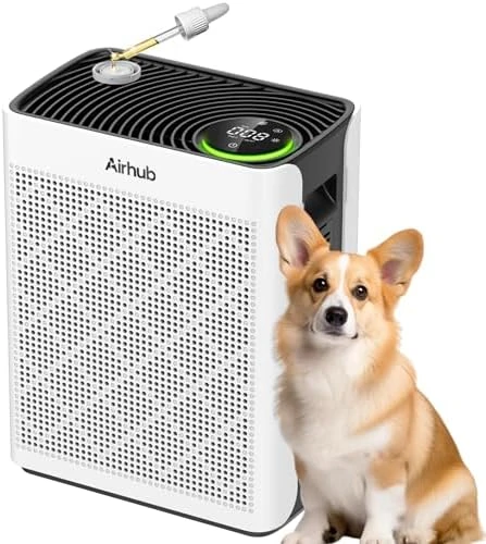 Air Purifiers for Home Large Room — Air Purifier, AirHub