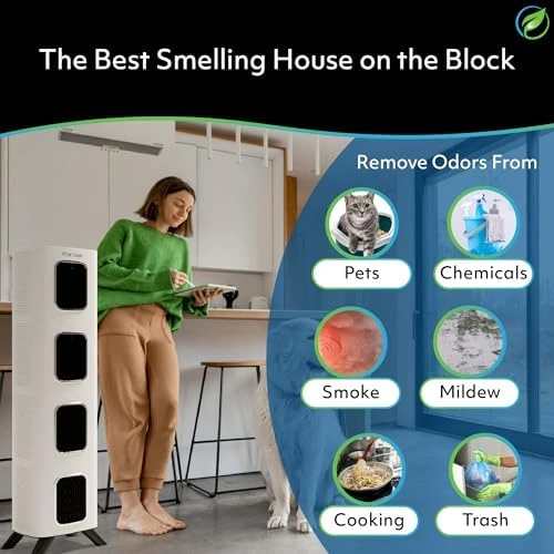 iAdapt 2.0 H13 HEPA Filter Air Purifier — Air Purifier, Air Oasis