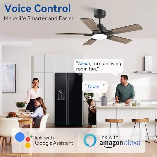 42-Inch Smart Ceiling Fan with Lights Remote, APP & Voice Control — Smart Fan, Hoenofly