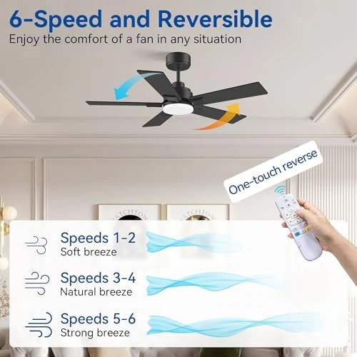 42-Inch Smart Ceiling Fan with Lights Remote, APP & Voice Control — Smart Fan, Hoenofly