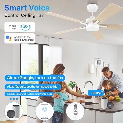 52" Smart Ceiling Fan with Lights — Smart Fan, Lorpies