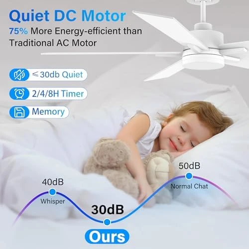 52" Smart Ceiling Fan with Lights — Smart Fan, Lorpies