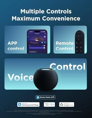 Ceiling Fan with Lights — Smart Fan, Govee