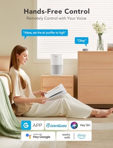 Mini Air Purifier Bundle with Smart Humidifiers — Air Purifier, GoveeLife