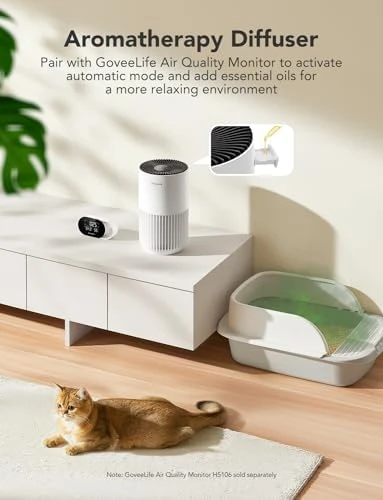 Mini Air Purifier Bundle with Smart Humidifiers — Air Purifier, GoveeLife