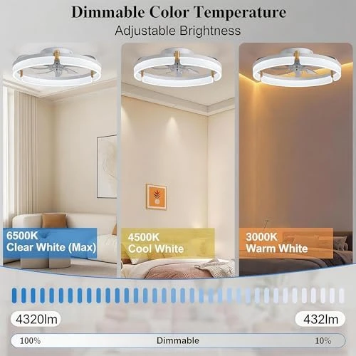 Smart Ceiling Fan with Lights Remote — Smart Fan, DIAMONDFORGE