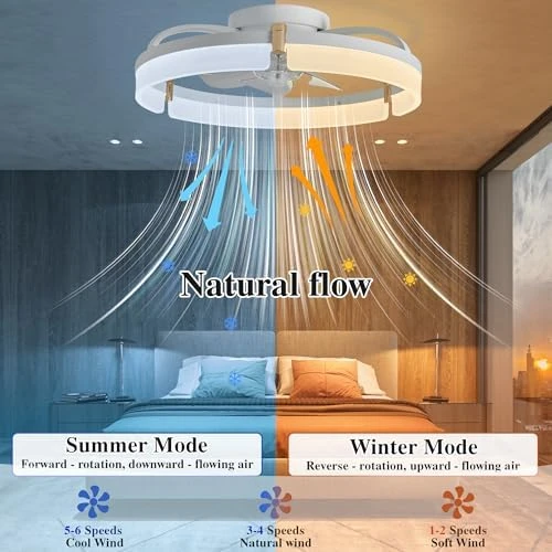 Smart Ceiling Fan with Lights Remote — Smart Fan, DIAMONDFORGE