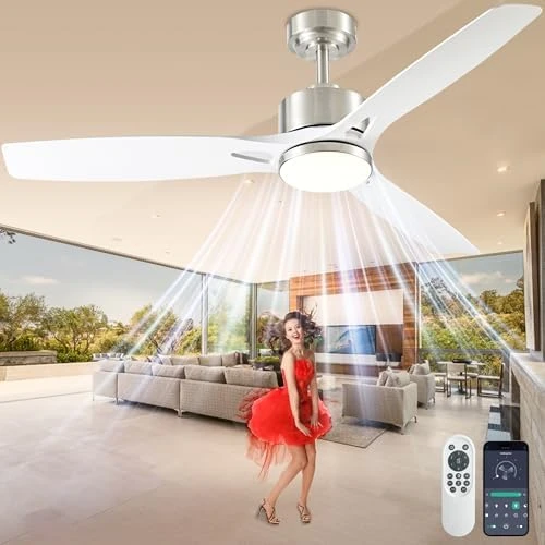 Smart Ceiling Fan with Lights Remote — Smart Fan, DIAMONDFORGE