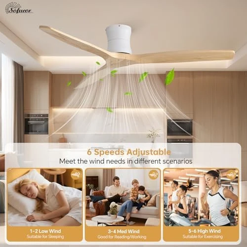 Smart Ceiling Fan with Remote — Smart Fan, Sofucor
