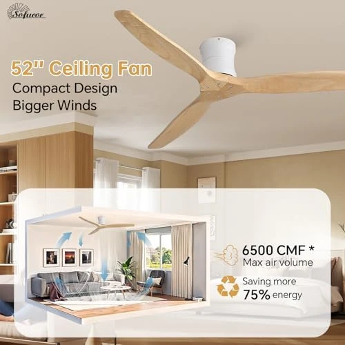 Smart Ceiling Fan with Remote — Smart Fan, Sofucor