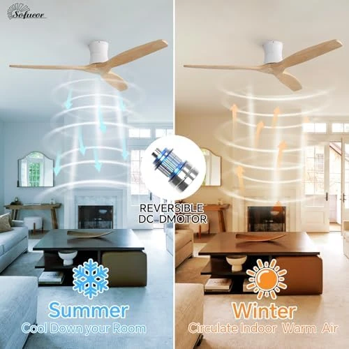 Smart Ceiling Fan with Remote — Smart Fan, Sofucor